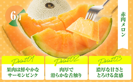 ≪定期便全4回≫2月・6月・9月・12月お届け!!４種フルーツ定期便★フルーツ 果物 デザート 国産_T015-009