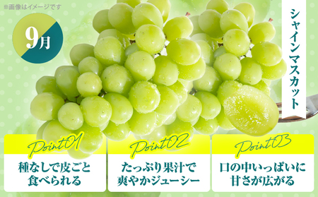 ≪定期便全4回≫2月・6月・9月・12月お届け!!４種フルーツ定期便★フルーツ 果物 デザート 国産_T015-009