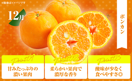 ≪定期便全4回≫2月・6月・9月・12月お届け!!４種フルーツ定期便★フルーツ 果物 デザート 国産_T015-009