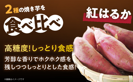 冷やし焼き芋(安納芋・紅はるか) 合計2kg さつまいも イモ 野菜 国産_T016-005
