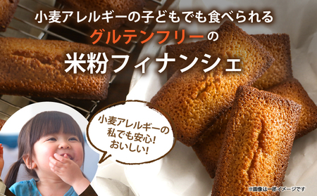 【2週間以内発送】＼ポスト投函／≪グルテンフリー≫米粉のフィナンシェ(計2個) スイーツ お菓子 国産_T038-011
