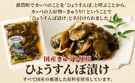 \ポスト投函/ひょうすんぼ漬け 計2袋 漬物 おかず 野菜 加工品 国産_T037-0121