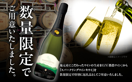 【数量限定】スパークリングワイン キウイ(計1本)酒 飲料 アルコール 国産_T014-0235