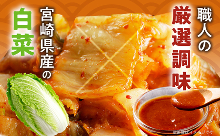 白菜キムチ 計1袋 (1kg) 漬物 おかず 野菜 加工品 国産_T025-040