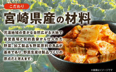 白菜キムチ 計1袋 (1kg) 漬物 おかず 野菜 加工品 国産_T025-040