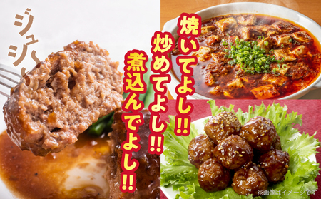 宮崎県産豚ミンチ肉 計1.2kg(300g×4パック) 肉 豚 豚肉 国産_T025-041