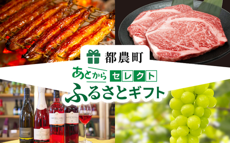 ≪期限1年間≫あとからセレクト 85,000円コース【ふるさとギフト】 あとから選べる カタログ ギフト 鰻 肉 ワイン 都農町_T998-016