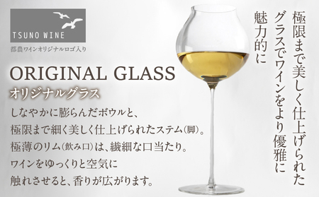 ≪数量限定≫都農ワイン ピノグリ2本&グラスセット 酒 飲料 アルコール 国産 ロナ_T014-021
