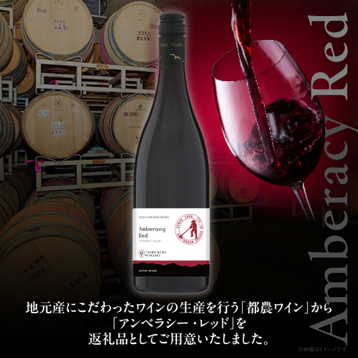 【数量限定】アンベラシー レッド(計1本) ワイン 酒 アルコール 国産_T014-046 | 宮崎県都農町 | ふるさと納税サイト「ふるなび」