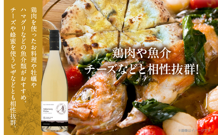 【数量限定】アンベラシー ホワイト(計1本) ワイン 酒 アルコール 国産_T014-0485