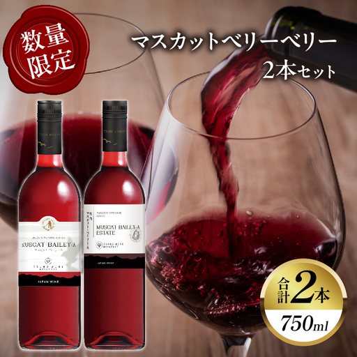 【数量限定】マスカットベリーベリー2本セット ワイン 酒 飲料 アルコール 国産_T014-057 11,400円