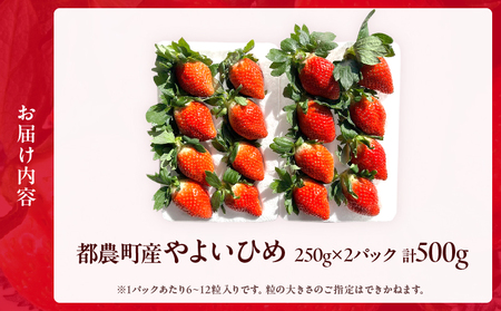 ≪先行予約≫都農町産いちご「やよいひめ」計500g フルーツ 果物 デザート イチゴ 国産_T059-001