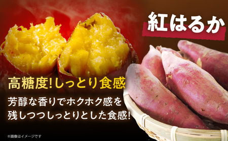 冷やし焼き芋(安納芋・紅はるか) 合計800g さつまいも イモ 野菜 国産_T016-008