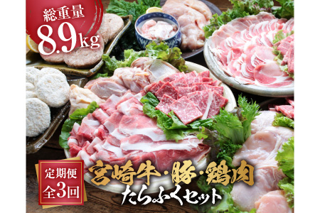CDB2 3か月定期便「お楽しみ」宮崎牛・豚・鶏肉たらふくセット(総重量8.9kg)都農町加工品