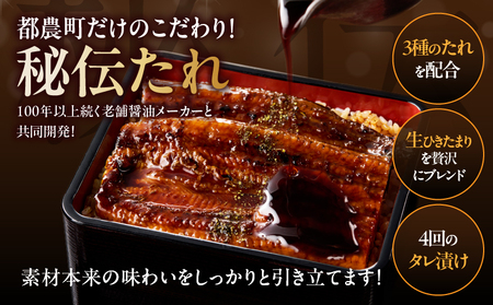 先行予約≪隔月定期便全3回≫1月・3月・5月お届け!!うなぎ蒲焼特大2尾(総重量1140g以上) 鰻 魚 魚介 加工品 国産_T026-0073