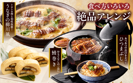 先行予約≪隔月定期便全3回≫1月・3月・5月お届け!!うなぎ蒲焼特大2尾(総重量1140g以上) 鰻 魚 魚介 加工品 国産_T026-0073