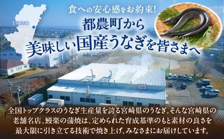 先行予約≪隔月定期便全3回≫1月・3月・5月お届け!!うなぎ蒲焼特大2尾(総重量1140g以上) 鰻 魚 魚介 加工品 国産_T026-0073