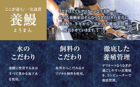 うなぎ蒲焼2尾(さんしょう・たれ付き)計300g以上 鰻 魚 魚介 加工品 九州産 国産_T026-001【人気 鰻 うなぎ ギフト 鰻 うなぎ 食品 鰻 うなぎ おかず 鰻 うなぎ  お土産 鰻 うなぎ  贈り物 鰻 うなぎ 送料無料 鰻 うなぎ プレゼント 鰻 うなぎ おすすめ 鰻 うなぎ オススメ 鰻 うなぎ 特産品 鰻 うなぎ 都農町 鰻 うなぎ 宮崎県産 鰻 うなぎ】