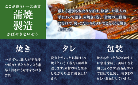 うなぎ蒲焼2尾(さんしょう・たれ付き)計300g以上 鰻 魚 魚介 加工品 九州産 国産_T026-001【人気 鰻 うなぎ ギフト 鰻 うなぎ 食品 鰻 うなぎ おかず 鰻 うなぎ  お土産 鰻 うなぎ  贈り物 鰻 うなぎ 送料無料 鰻 うなぎ プレゼント 鰻 うなぎ おすすめ 鰻 うなぎ オススメ 鰻 うなぎ 特産品 鰻 うなぎ 都農町 鰻 うなぎ 宮崎県産 鰻 うなぎ】