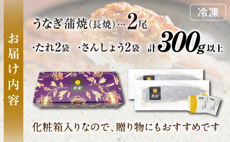 うなぎ蒲焼2尾(さんしょう・たれ付き)計300g以上 鰻 魚 魚介 加工品 九州産 国産_T026-001【人気 鰻 うなぎ ギフト 鰻 うなぎ 食品 鰻 うなぎ おかず 鰻 うなぎ  お土産 鰻 うなぎ  贈り物 鰻 うなぎ 送料無料 鰻 うなぎ プレゼント 鰻 うなぎ おすすめ 鰻 うなぎ オススメ 鰻 うなぎ 特産品 鰻 うなぎ 都農町 鰻 うなぎ 宮崎県産 鰻 うなぎ】