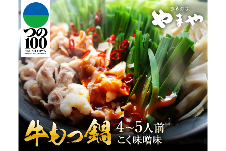 AA37 《第2弾》国産牛もつ鍋&野菜セット(こく味噌味)4~5人前《都農町加工品》