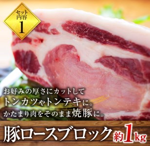 Ab59 豚肉ブロック4種セット ヒレ ロース モモ バラ 合計3 5kg 宮崎県都農町 ふるさと納税サイト ふるなび