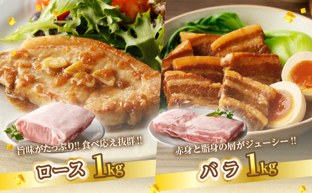 宮崎県産豚ブロック肉4種セット(合計3.5kg) 肉 豚 豚肉 国産_T009-0283