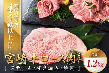 C70 宮崎牛ロース肉セット(ステーキ・すき焼き・焼肉)合計1.2kg