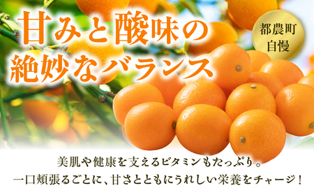先行予約≪数量限定≫訳ありhiro君ハウスの『完熟きんかん(計2kg)』フルーツ 果物 金柑 国産_T022-003