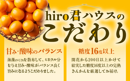 先行予約≪数量限定≫訳ありhiro君ハウスの『完熟きんかん(計2kg)』フルーツ 果物 金柑 国産_T022-003
