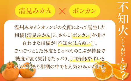 先行予約≪数量限定≫訳あり不知火(つのぽん)約5kg フルーツ 果物 柑橘 みかん 国産_T002-002