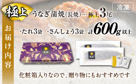 うなぎ蒲焼特大3尾(さんしょう・たれ付き)計600g以上 鰻 魚 魚介 加工品 九州産 国産_T026-002【人気 鰻 うなぎ ギフト 鰻 うなぎ 食品 鰻 うなぎ おかず 鰻 うなぎ  お土産 鰻 うなぎ  贈り物 鰻 うなぎ 送料無料 鰻 うなぎ プレゼント 鰻 うなぎ おすすめ 鰻 うなぎ オススメ 鰻 うなぎ 特産品 鰻 うなぎ 都農町 鰻 うなぎ 宮崎県産 鰻 うなぎ】