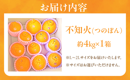 先行予約«数量限定»不知火(つのぽん)約4kg フルーツ 果物 柑橘 みかん 国産_T002-001
