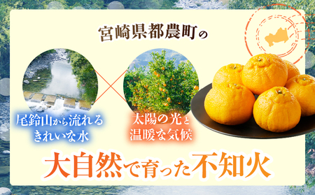 先行予約≪期間限定≫都農町産「不知火(しらぬい)計6kg」 フルーツ 果物 柑橘 みかん 国産_T008-002