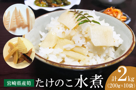 Aa25 宮崎県産筍 たけのこ水煮2kg
