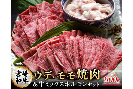 AB125-3M 宮崎和牛ウデ・モモ焼肉&牛ミックスホルモンセット(合計900g)