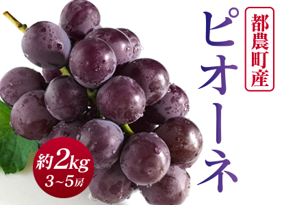AA26 ピオーネ約2kg(3~5房)都農町産