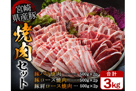 AC37-3M 豚焼肉バラエティー3kg&粗挽きウインナー180gセット《合計3kg以上》都農町加工品