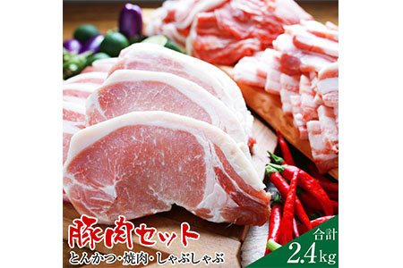Ab38 とんかつ・焼肉・しゃぶしゃぶ豚肉セット2.4kg(都農町加工品)