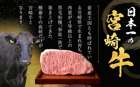 数量限定≪生産者応援≫宮崎牛ロースステーキ(計500g) 肉 牛 牛肉 焼肉 国産_T030-1073