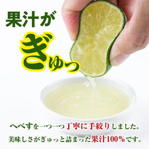 生絞り へべす 果汁100％(1kg)柑橘 調味料 冷凍 国産 宮崎県産 【KT-5】【K.Tfarm】