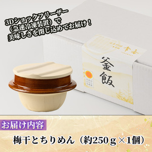 料亭の釜めし・極＜梅干しとちりめん＞(約250g×1) 釜飯 料亭 惣菜 時短 お取り寄せ グルメ 冷凍 レンジアップ【TW-7】【魚甚閣 常若】
