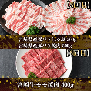 ＜定期便・全6回(連続)＞宮崎牛と県産豚の定期便(総量6.8kg)  牛肉 豚肉 もも 肉 肩ロース ウデ しゃぶしゃぶ 焼肉 豚バラ BBQ 精肉 小間切れ 豚小間 豚こま お取り寄せ 黒毛和牛 ブランド和牛 冷凍 国産【R-81】【ミヤチク】