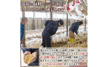 宮崎県産ブランド鶏「夢創鶏」もも・むね切身セット (計2kg・200g×各5P) 鶏肉 肉 もも肉 むね肉 カット 唐揚げ からあげ 国産 小分け 冷凍 便利 宮崎県 門川町【C-26】【株式会社 英楽】