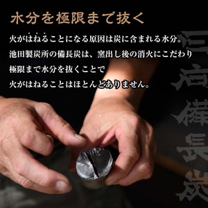 ＜訳あり＞ 日向備長炭(5kg) アウトドア キャンプ用品 BBQ バーベキュー 木炭 国産【IK-4】【池田製炭所】