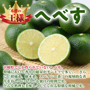 生絞り へべす 果汁100％(100g×1P) へべす へべ酢 へべず 柑橘 調味料 冷凍 国産 宮崎県産 お試し 果汁 ドレッシング 酢 【KT-6】【K.Tfarm】