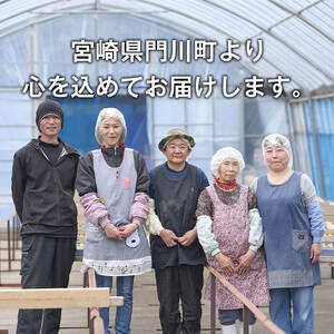 おやつ芋 安納芋 冷凍 焼き芋(計30個・3個入り×10袋) 焼芋 やきいも さつまいも さつま芋 レンジ 安納芋 小分け おやつ 【YO-11】【株式会社陽】