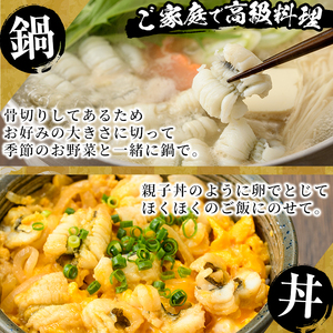 骨切り 白鱧 (計800g・400g×2パック・カット済み) 骨切り済 ハモ はも 一口 天ぷら しゃぶしゃぶ フライ 小分け 冷凍 魚介類 鍋 国産 宮崎県 門川町【O-8】【門川漁業協同組合】