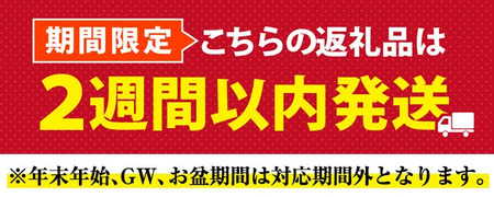 ＜2週間以内発送！＞ 肉巻き おにぎり 濃厚 チーズ (計1.2kg・120g×10パック) 豚肉 カマンベール お弁当 レンジアップ 小分け 湯煎 個包装 おつまみ レトルト 常温 保存 ご当地 簡単調理【AP-56】【株式会社 日向屋】