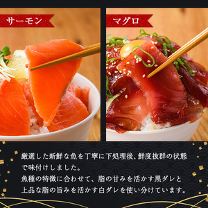 ＜定期便・全5回(連続)＞海鮮 お魚漬け丼 ぶり 真鯛 カンパチ マグロ サーモン 定期便 食べ比べ セット 簡単 便利 小分け 個包装 まだい 鰤 鮪 お取り寄せ 海鮮丼 時短 【UZ-14】【請関水産】